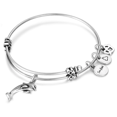Dolphin Charm Bangle